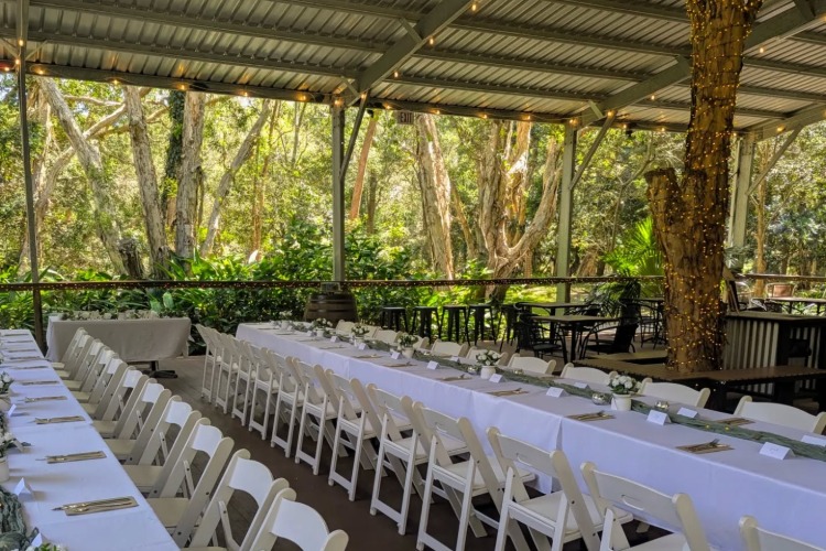 Affordable wedding destination near Central Coast in a rainforest