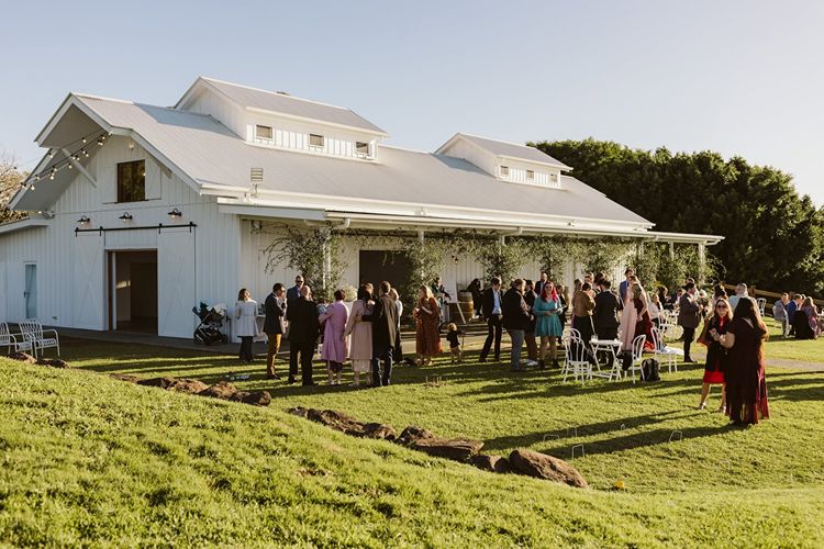 Barn wedding venue in the Tweed Valley with Mount Warning/Wollumbin views