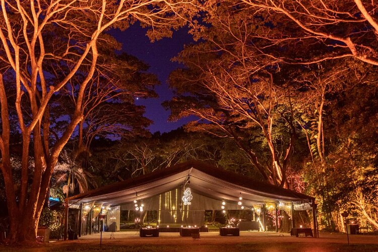 Cairns wedding location Flames of the Forest