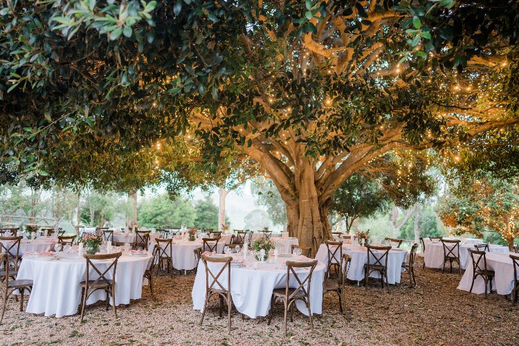 Fairytale wedding venue Fig Tree Park