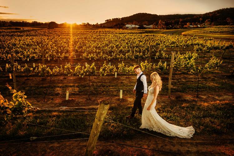 Hunter Valley wedding photo of newlyweds walking in vineyard by Ben Newnam