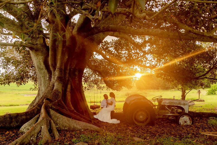 Mazzer Wedding Photographics