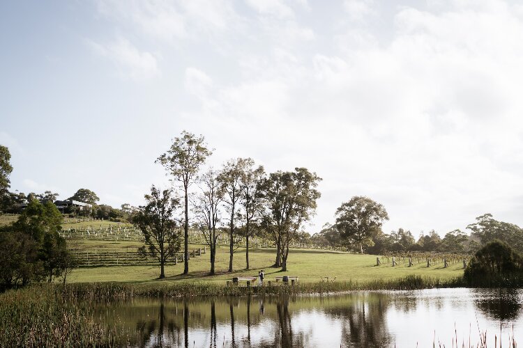Mimosa Wines Bungendore Wedding Venue