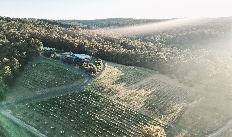 Mimosa Wines Countryside Wedding Venue