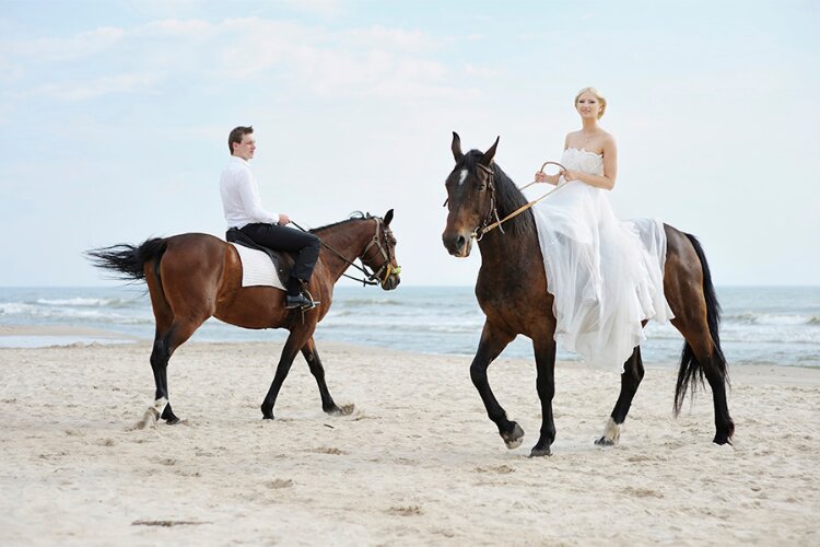 Noosa Elopement PackagesFancy Free 