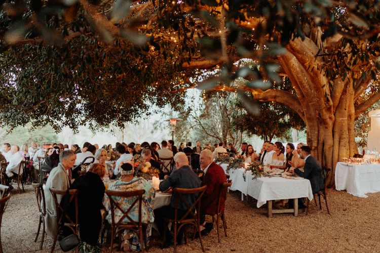 Outdoor wedding venue under a fig tree at Fig Tree Park on the NSW South Coast