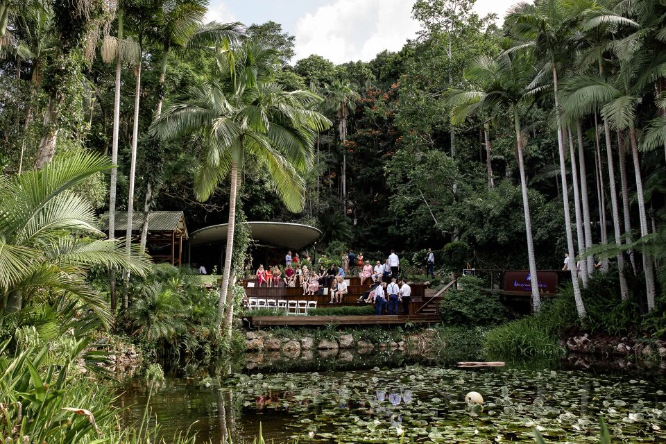 Rainforest Wedding Venues QLD