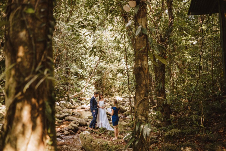 Beautiful wedding ceremony location in rainforest near Cairns QLD