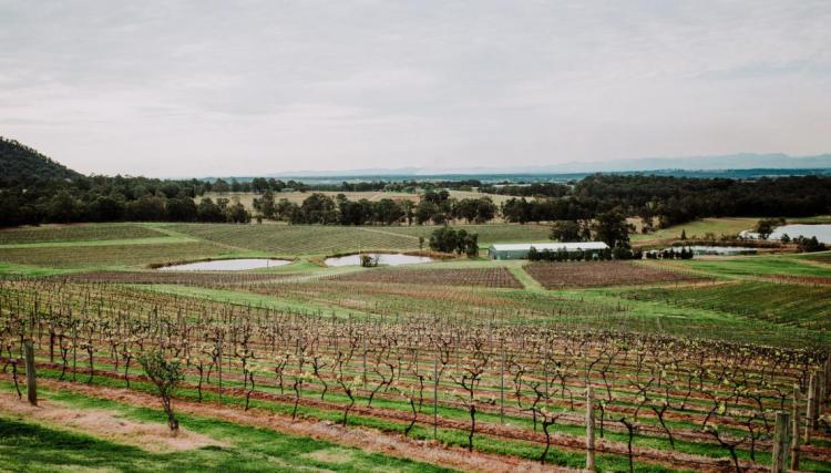 Affordable wedding venues in the Hunter Valley