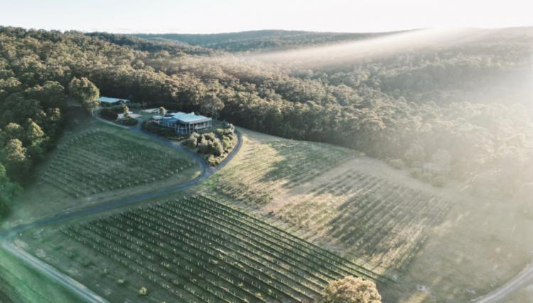 Mimosa Wines Tathra Wedding Venue