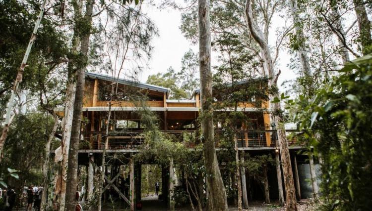 Paperbark Camp is a unique treetop wedding venue in Jervis Bay