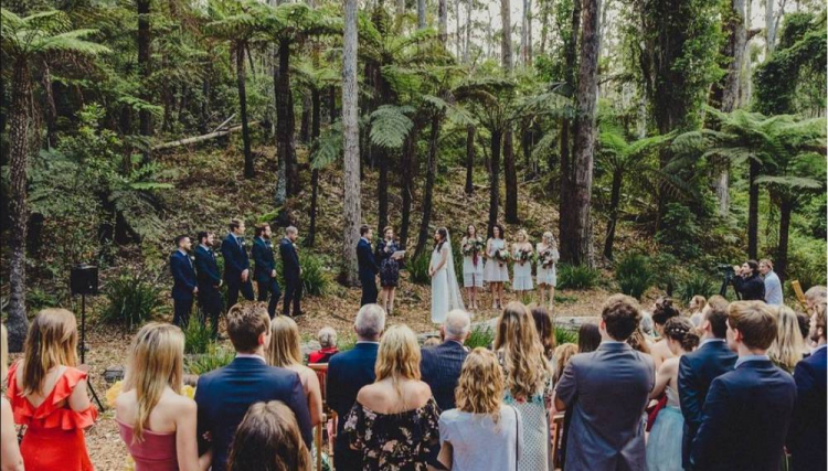 Mimosa Wines is a wedding venue near Narooma