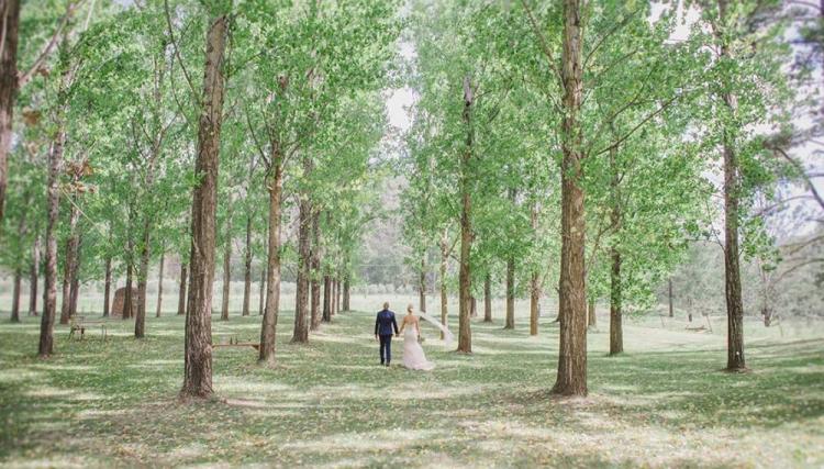 Stonehurst Vineyard wedding venue