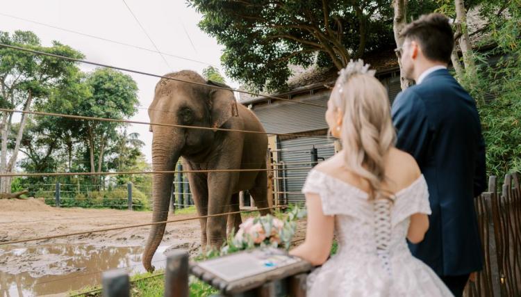 Taronga Zoo is one of the most unique wedding venues in Sydney