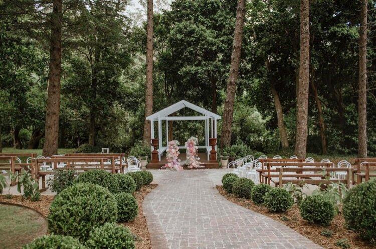 Luxurious wedding ceremony space in a pine forest setting in Jamberoo NSW