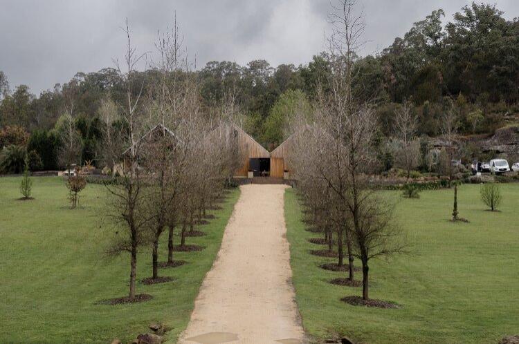 Tree-lined drive leading to NSW wedding destination The Woodhouse Wollombi