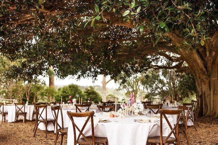 Fig Tree Park is a weekend long wedding venue 2min from the beach